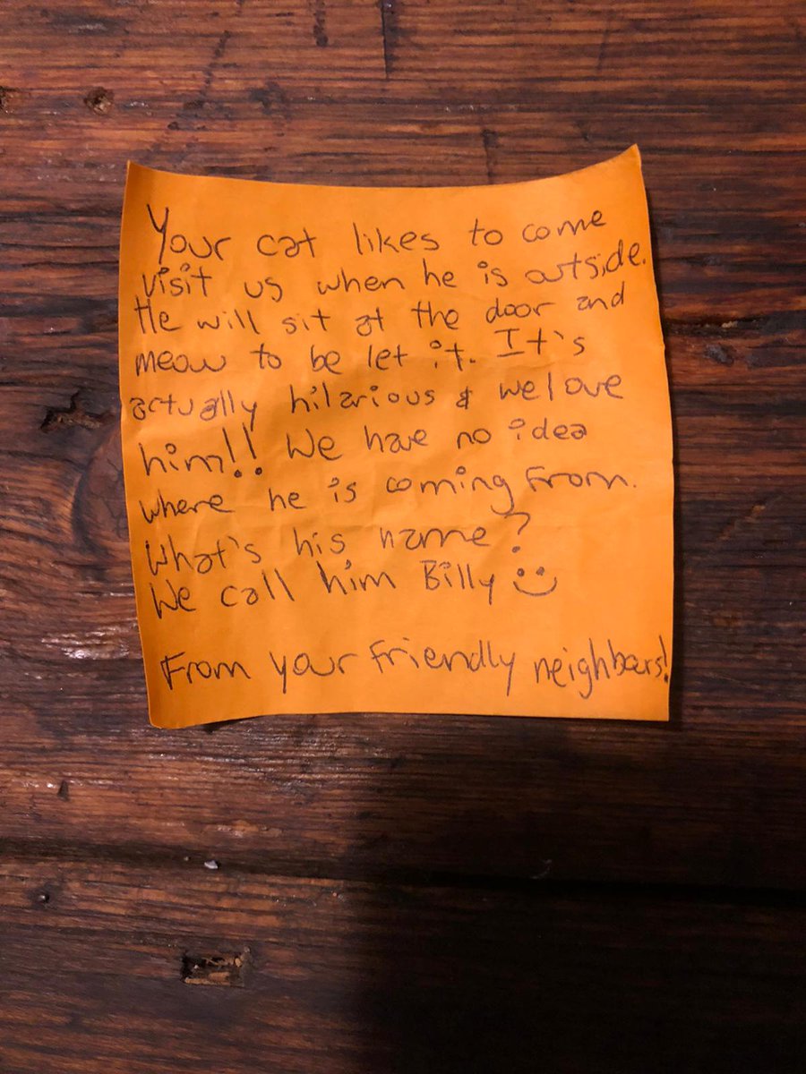 A few months ago my girlfriend  @ogildy noticed something on Billy's collar - a folded note, wrapped in cling film and attached with a wire tie