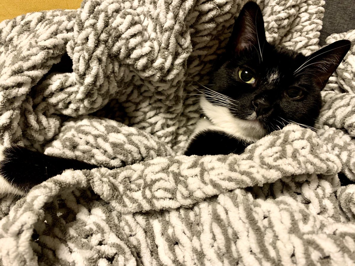 I’m not sure if this realization is oppressive or liberating. It’s probably both. But for now, here’s a long thread that takes up a lot of space, ended with a silly picture of my cat luxuriating in a blanket that gave me peace and joy over the many months it took to knit.