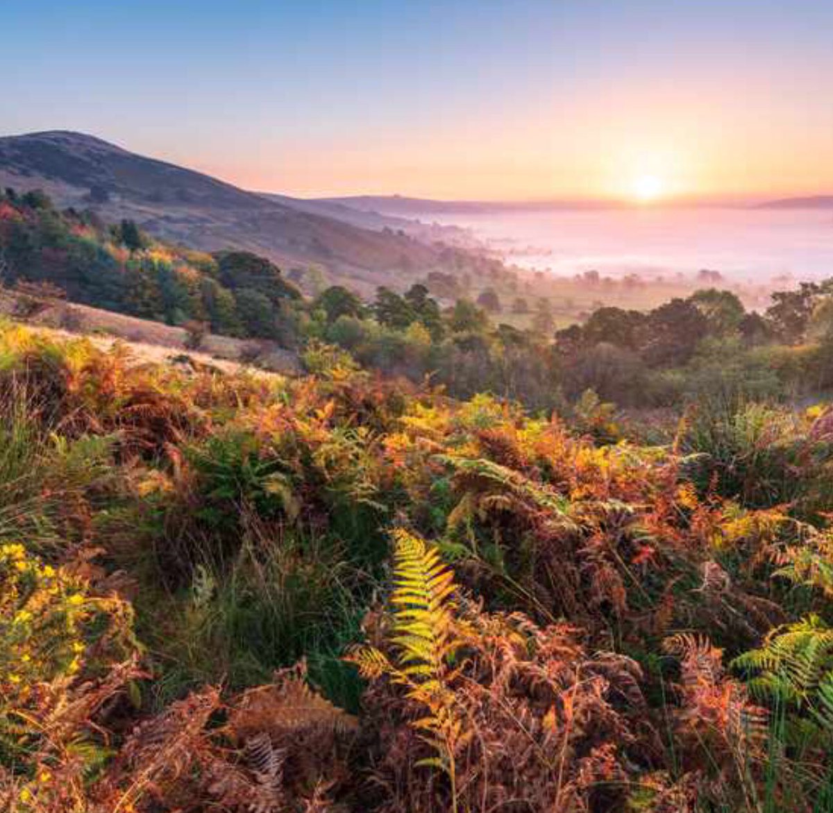  #CalisGrandTour Final legge now. New Forest here we come....plumgoes an all......