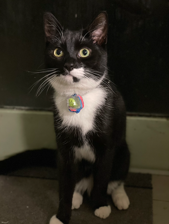 Really looking the part here