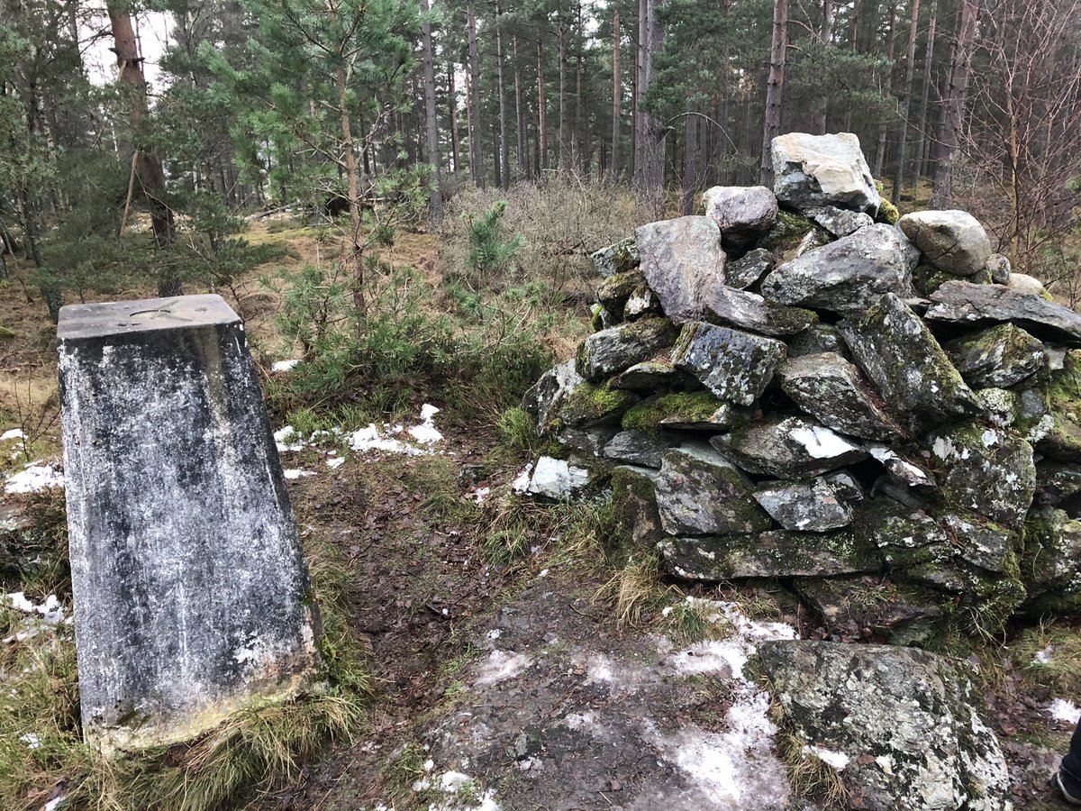 Violajaney's tweet photo. Thanks to @TheMackWalks for the useful route guide on their website for today’s walk with the family @BallogieEstate and Craigmore Hill. Was a really nice walk. 👍🏻
#Aberdeenshire
#Potarch https://t.co/0U4UjRj0Nr