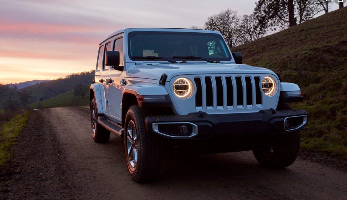 Quick refreshing drink at a New Forest pub ....change into warm gear and waterproofs, grab your binoculars as we are going pony and deer spotting...... #CalisGrandTour  @ElizGriff2016  @ValinVigo  @stripeyspotty  @LeoTheBengal  @Percy_BengalCat  @PiandNeko1  @SuzPilks