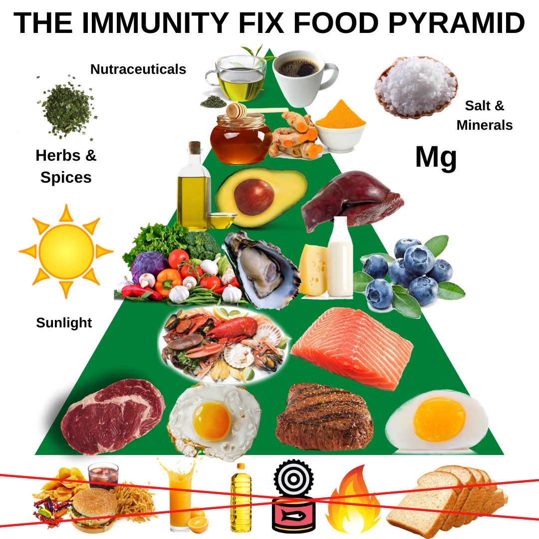 In our book The Immunity Fix we have a dietary pyramid that is animal based, focused on pastured meat, eggs and animal organs and the elimination of refined carbs, sugars and seed oils. Of course unrefined salt is at the top of the pyramid! rb.gy/uyw1gx