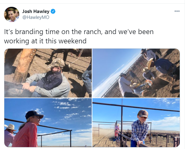 Needing to convince rural Missourians of his credibility as a working man from a farming family, Hawley dropped images of his in-laws' ranch in New Mexico--knowing full well that many would assume he was in Missouri--and allowing them to believe the lie that benefited him.32/