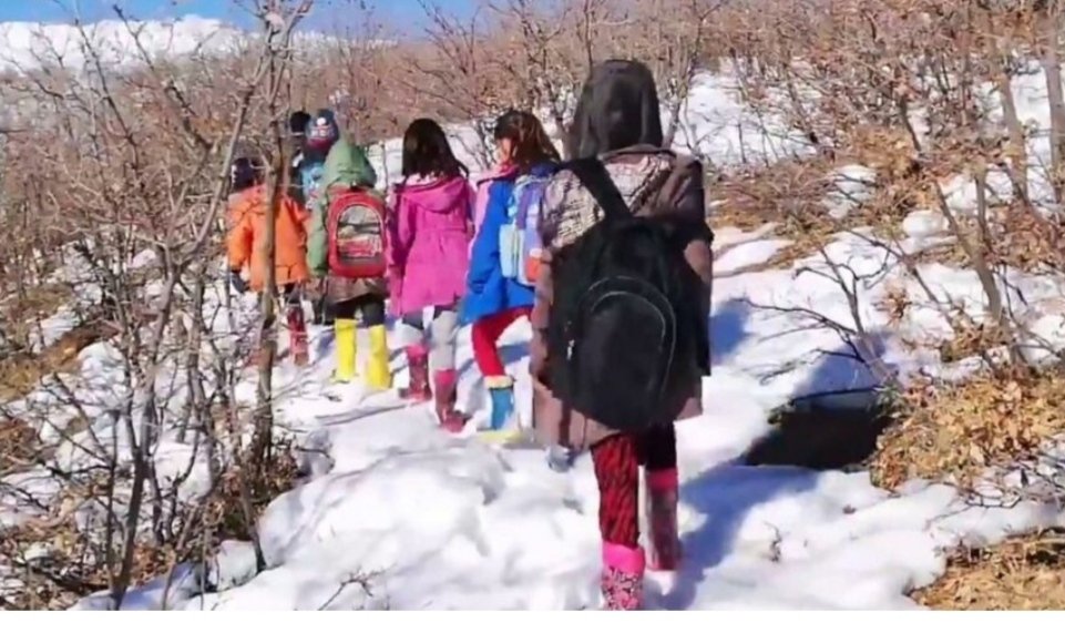 Siirt’in Pervari ilçesine bağlı Doğan köyünde yaşayan öğrenciler EBA TV’ye bağlamak için soğuk havada saatlerce şebekenin çektiği yere kadar yürüyerek ders işledi.
<a href="/ziyaselcuk/">Ziya Selçuk</a> @hmzaydg <a href="/omerinan06/">Ömer İNAN</a>