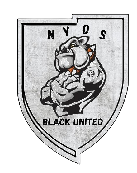 NyosTeam's tweet photo. bonsoir a tous !

Apres un mois d'essaie parmi nous la @XIUnited2 valide son test d'entrée et devient une team officiel de la structure nyos.

Elle portera maintenant le nom de NYOS BLACK UNITED.

GG a eux tous pour leur mentalité et leur sérieux

WELCOME HOME NYOS BLACK UNITED👊 https://t.co/NiIw1LEvmn