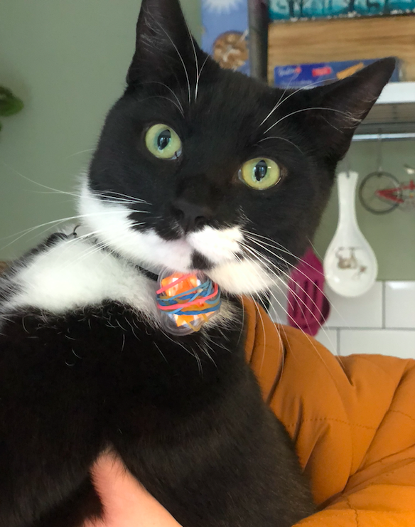 Development 1: the neighbour had sorted him out with a proper mailbag