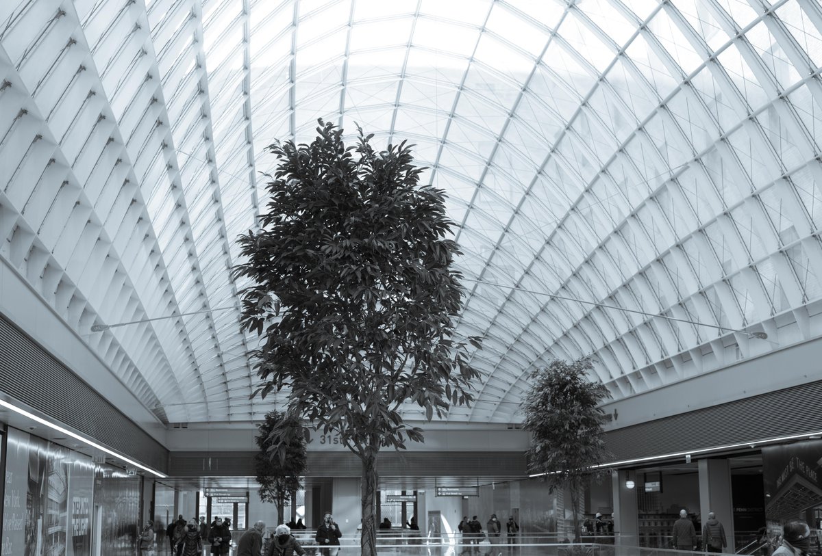 …SOM and the rest of the design team were clearly very cognisent of the dreary basement feeling of Penn bc Moynihan is very bright & airy. In fact, there is far more sunlight at Moynihan than at Grand Central, the Oculus or any other major US rail station that I can think of.