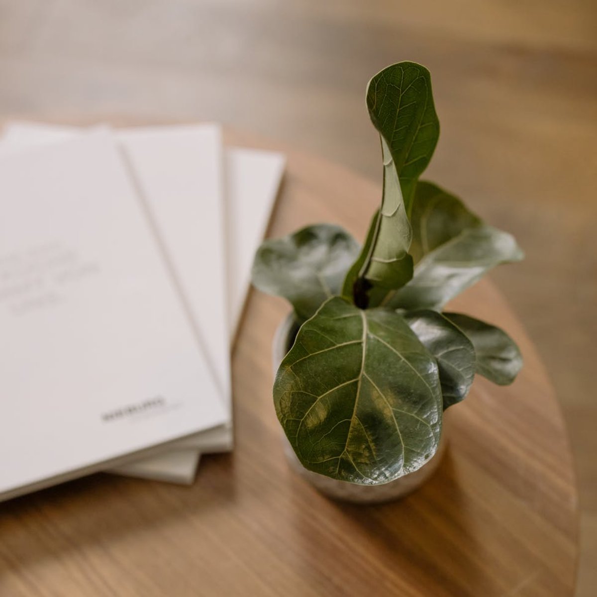 Top Shelf Construction, Inc. (TopShelfConstr1) Twitter