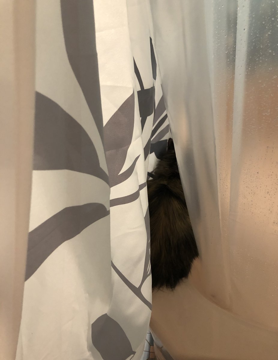 Important Chauncey fact: she loves to join us in the shower.