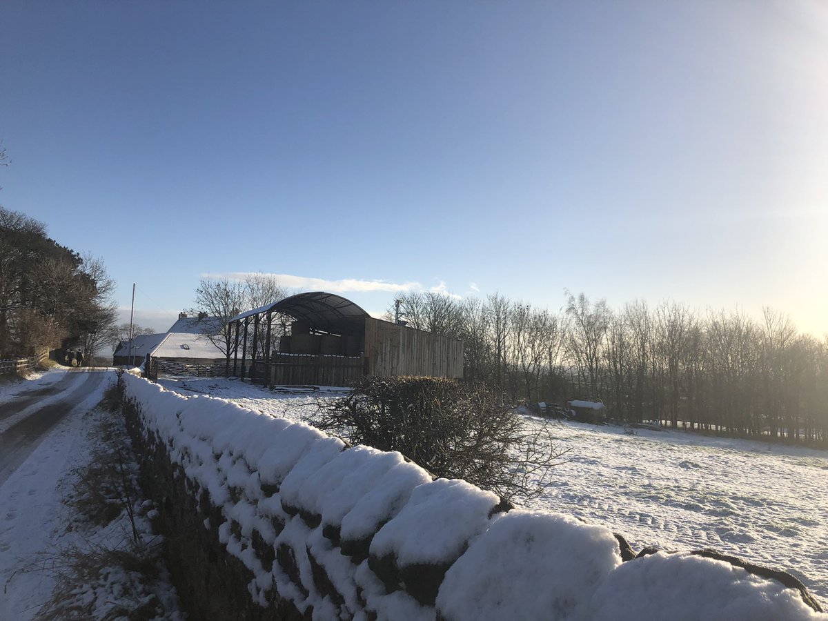 Got some more fantastic pictures of the snow today and last week ❄️ 

#uksnow #snow #countryside #ukblogger #newyear #january