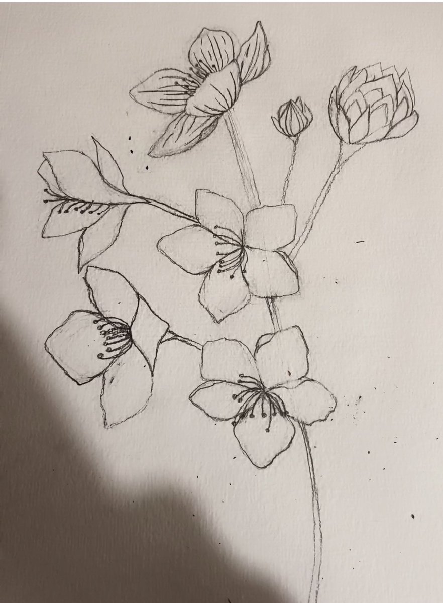 CinsCreations's tweet photo. #cherryblossom #sketches #drawing #artwork #doodle https://t.co/C2yU0QBzDz