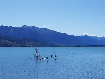 thetravellocker's tweet photo. Just how beautiful is New Zealand? @PureNewZealand
#mathesonlake #LakeWanaka #newzealand #foxglacier #ferns #forest #walk #lake #NZMustdo #RealMiddleEarth #travel #travelblogger https://t.co/EMM1uuGsX6