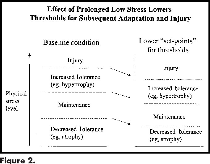 The premise of minimal effective dose (MED) as it applies to PST is great, but misunderstood.MED is a moving target. As the body adapts, the stimulus must be graded to stay in the goal posts.Training programs that never change yields diminishing returns & eventual regression.