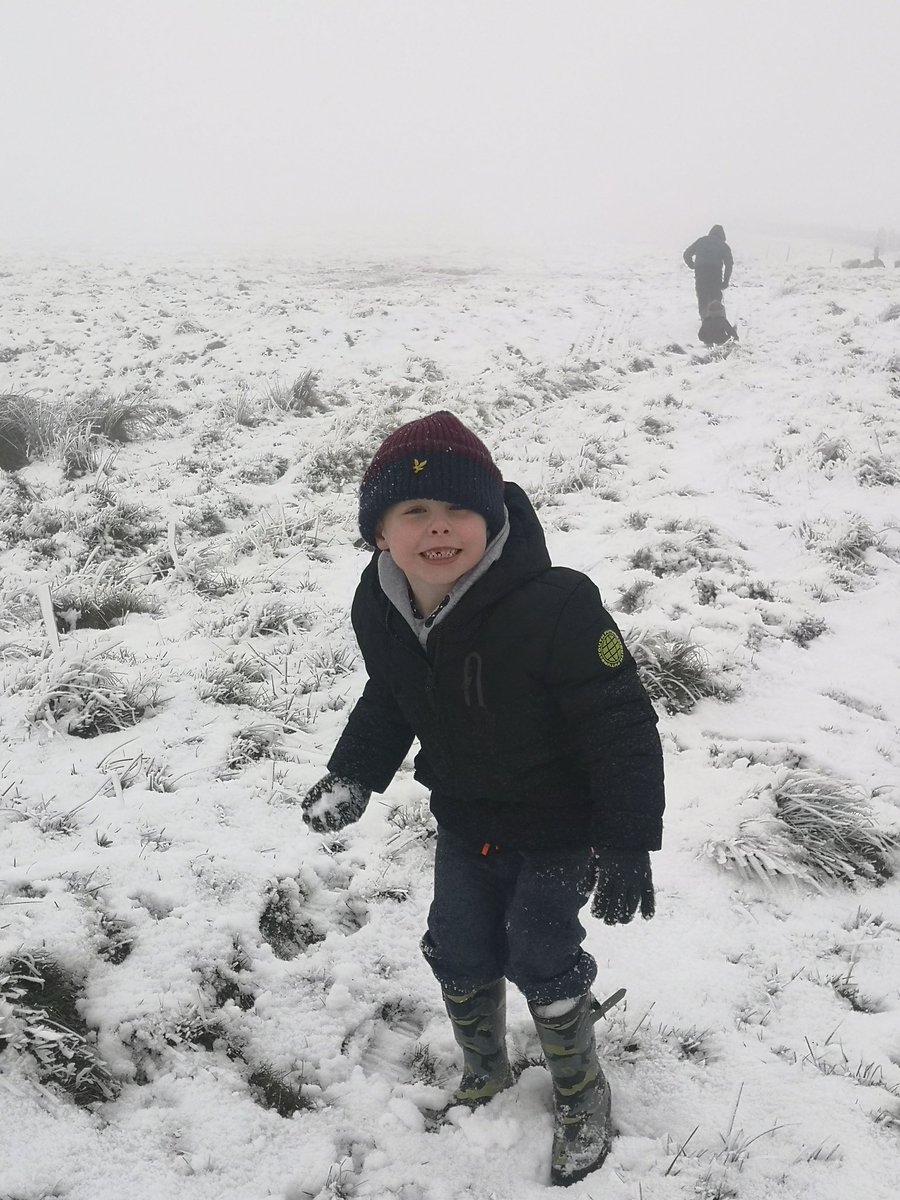 DonnaSharland2's tweet photo. Big walks and fun in the snow ❄️🌨️ https://t.co/lNvFVSetq5