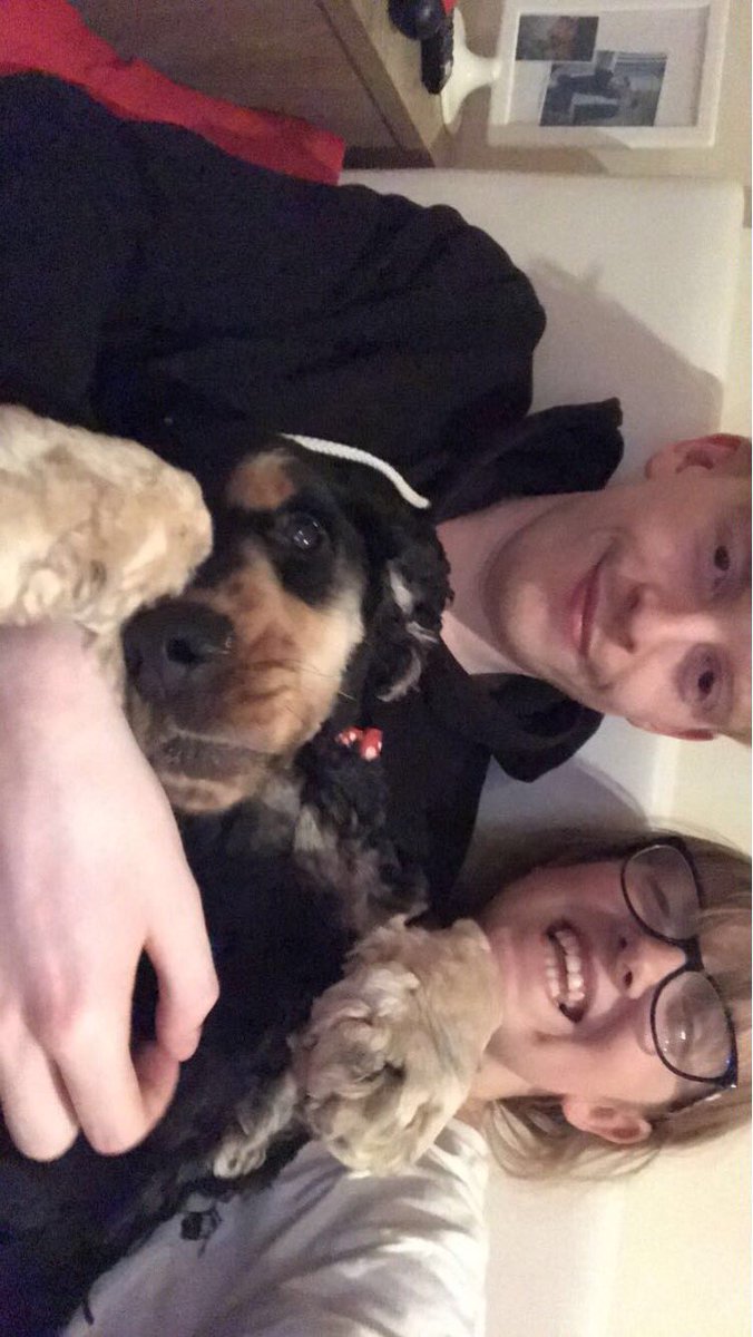 amyisGOD's tweet photo. wondering where covid rules stands on meeting dogs from another household... @RosssMurray 🥺🥺🥺 https://t.co/WnqZnfzLOJ