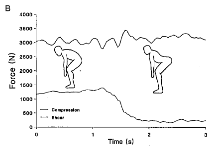 It is often suggested that a neutral spine position reduces ant shear forces during lifting, while a flexed posture increases ant shear forces. This is usually based on the work of Potvin et al and can be seen in this figure from their work. https://pubmed.ncbi.nlm.nih.gov/1948399/&nbsp;7/20