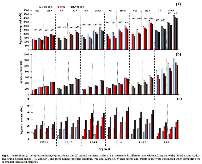 Importantly, not all models support the findings of Potvin et al. This work by Khoddam-Khorasani et al found ant shear forces were actually lower at L4/L5 and L5/S1 (and comparable between T12/L1-L3/L4) in a flexed lumbar spine posture relative to a lordotic position.13/20