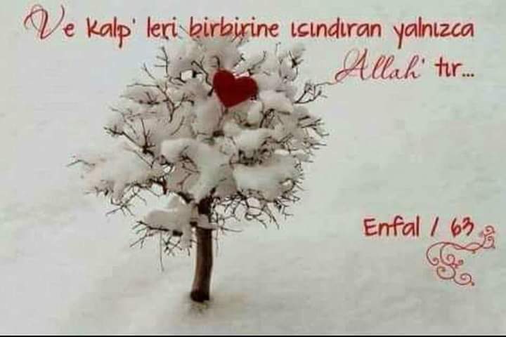 delibirmavi's tweet photo. #pazar https://t.co/4PnGIJustK