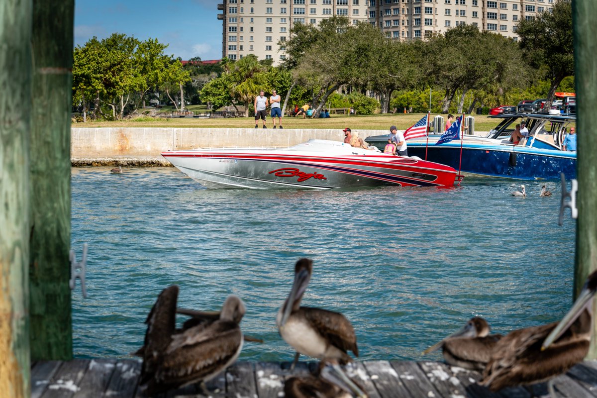 PhotoBonobo's tweet photo. Got some nice shots yesterday at the 2021 Joey Gratton Fun Run. Now all I need is a helicopter and a chase boat to catch some full-throttle action. 😂

#joeygrattonfunrun #Sarasota #powerboats #funrun #Florida #offshore https://t.co/PQKS8k6z4o