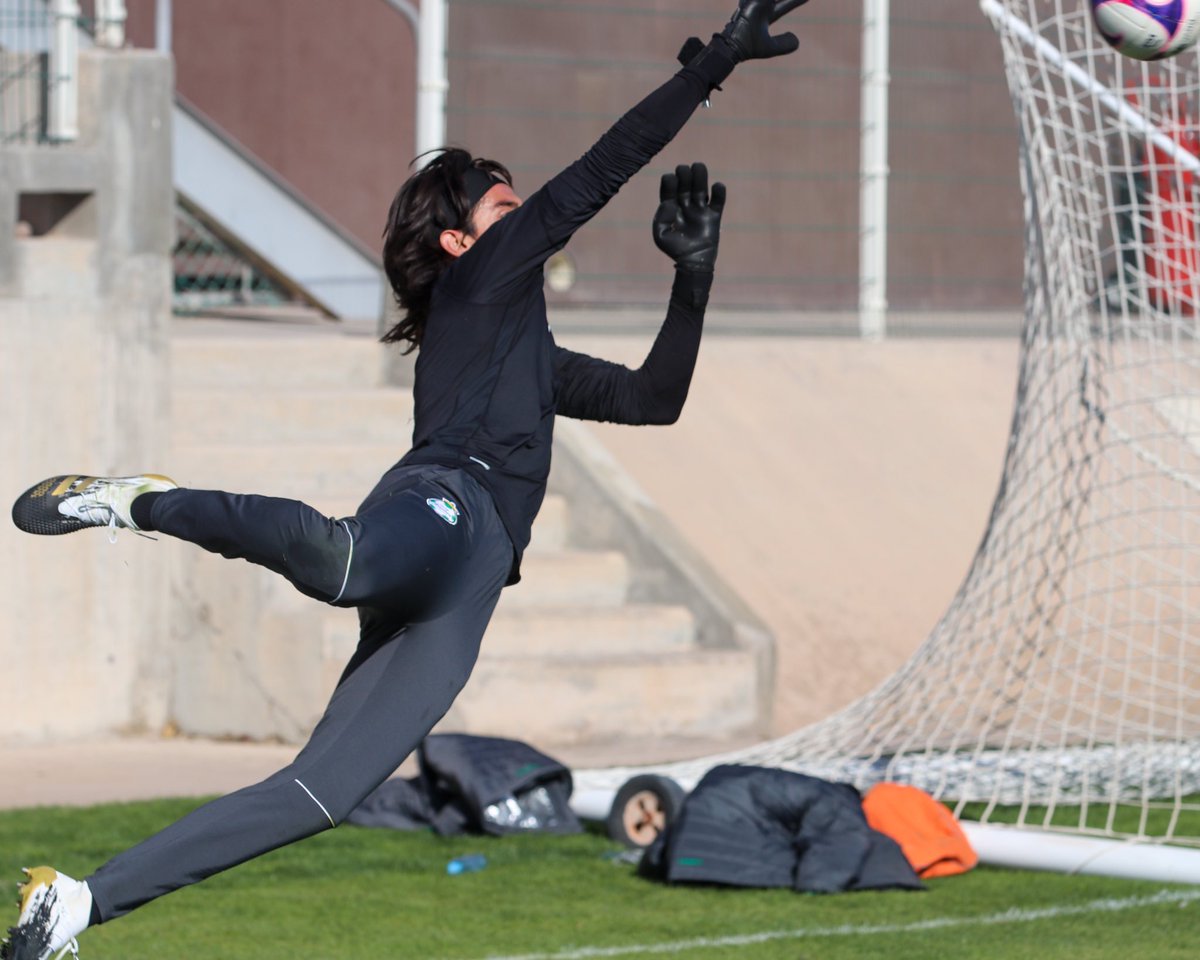 ClubSantos's tweet photo. 🧤 Porteros en acción 🔥👊

Nuestros arqueros trabajan con intensidad, preparándose para el arranque del #Guard1anes2021 🔝⚽️

#ModoGuerrero 🇳🇬⚔️ https://t.co/ocsLZofjgo