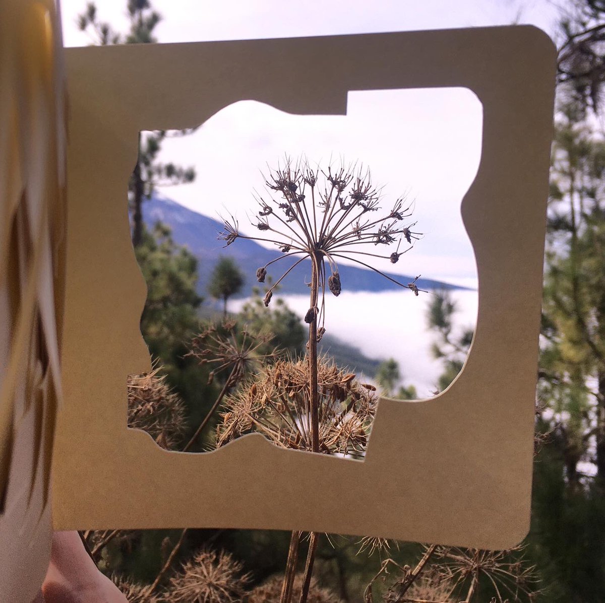 ilan_katin's tweet photo. so i am definitely not going to torture myself or you with posting every video i shoot daily from the #dailycut series of #2021 . but i am happy to share a series of cuts that i used for training my hand with the x-acto blade . with some shots i took today roaming around . https://t.co/0loB2ixxF9