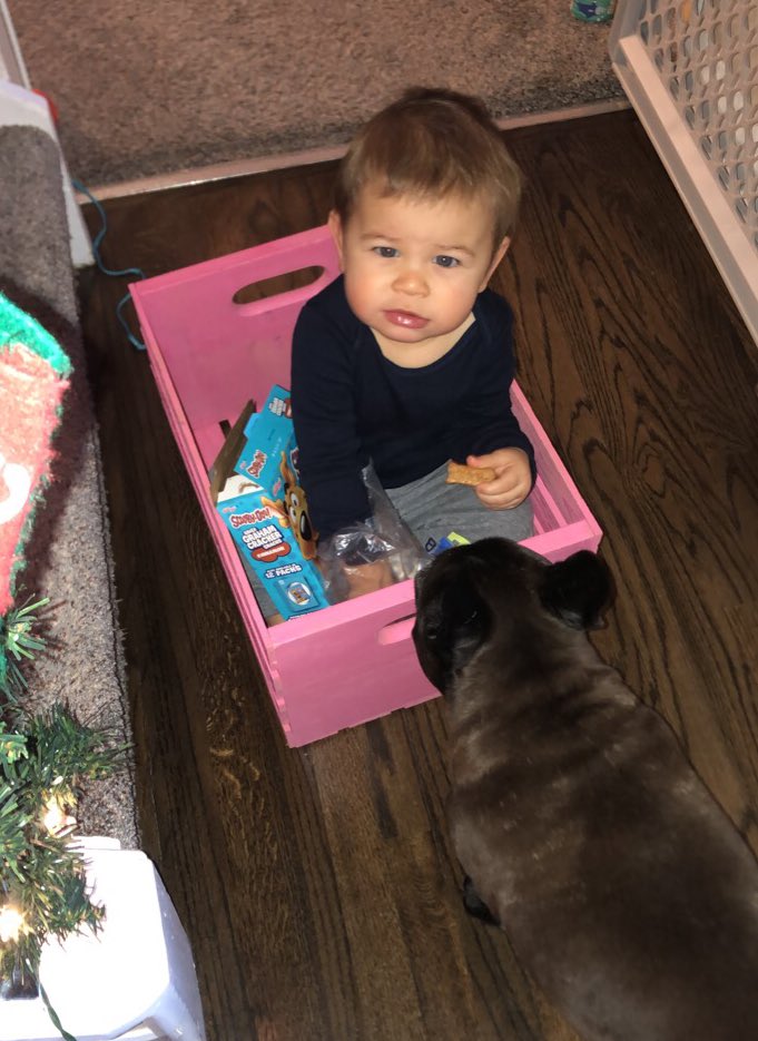 _Pierre21's tweet image. Can I have one?