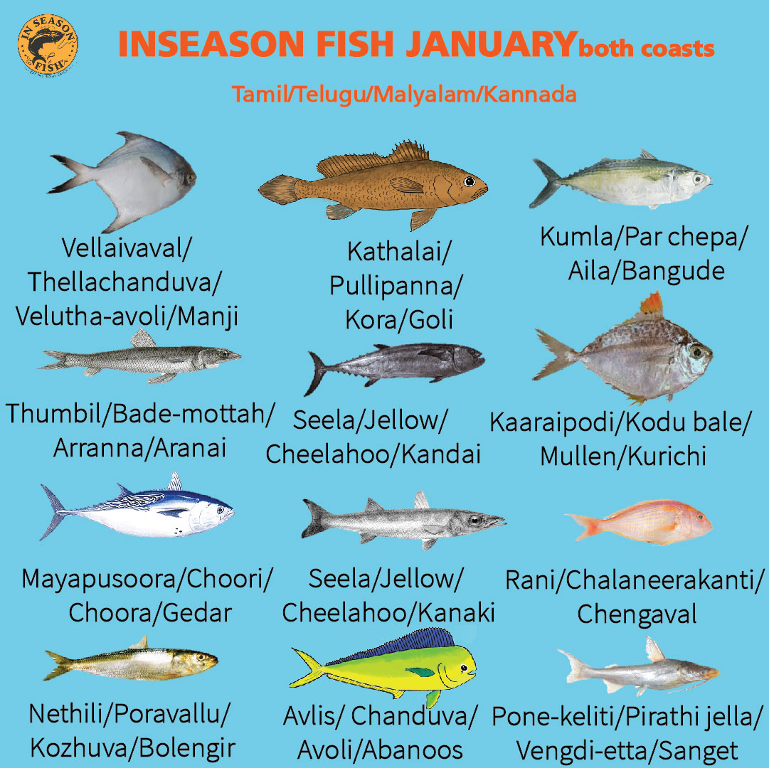 Our January recommendations are here! Local names are in the 2nd image. Remember to #askforinseasonfish & look up inseasonfish.com for more options.