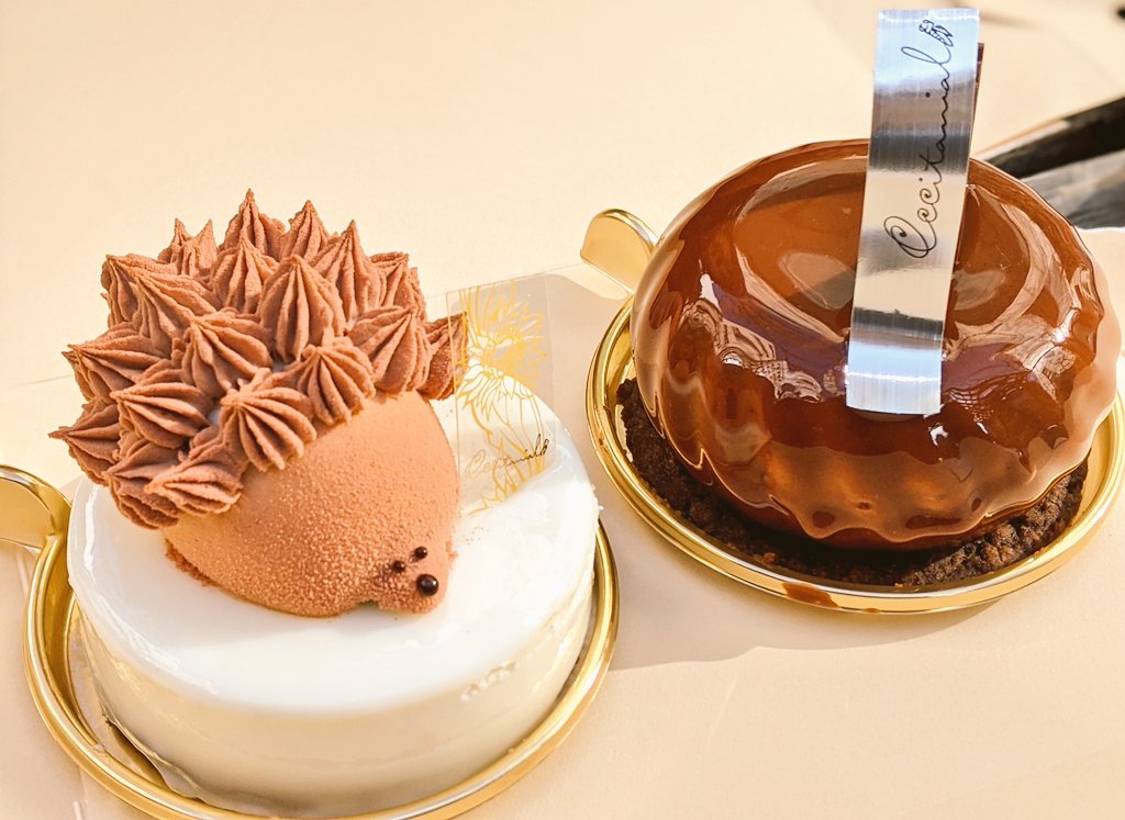 オクシタニアル オクシタニアル