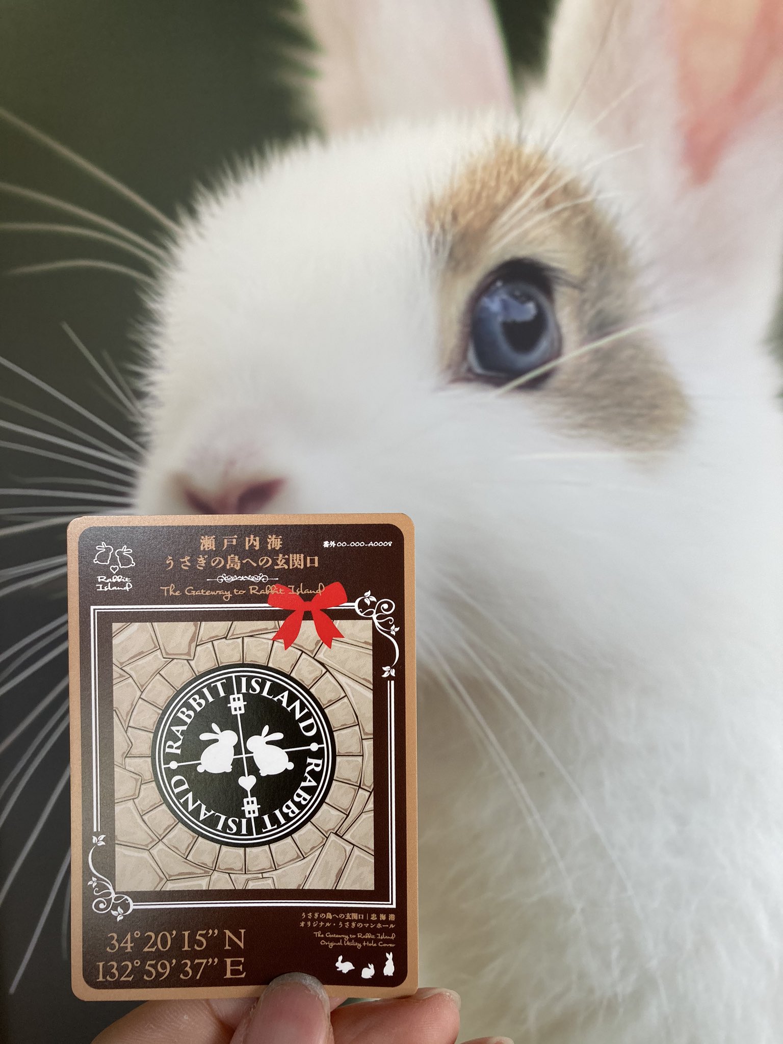 Tamaden 忠海港オリジナルマンホールカード