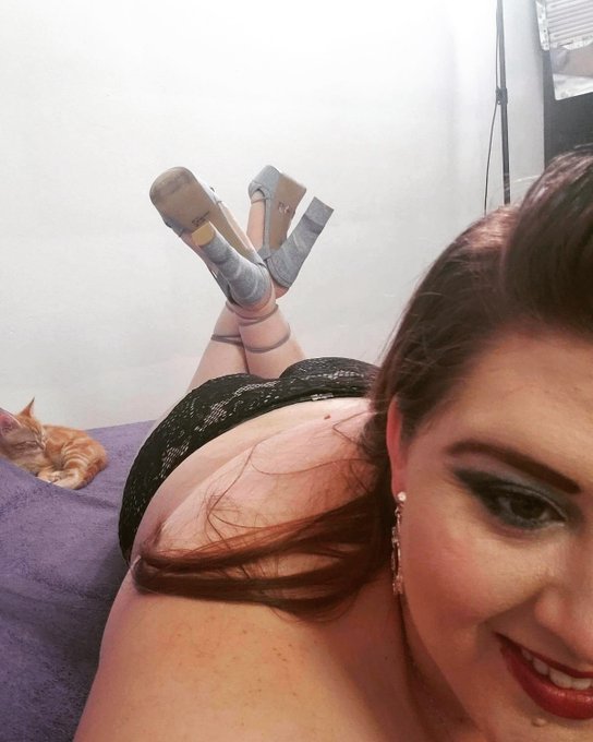 Haha, this is not my cat but its so cute. I'm just waiting for my scene to start. Love u guys and thank<a href="/tag/bbw"class="tags"><span>#bbw</span></a><a href="/tag/bodypositive"class="tags"><span>#bodypositive</span></a><a href="/tag/bigtits"class="tags"><span>#bigtits</span></a><a href="/tag/bbwcumslut"class="tags"><span>#bbwcumslut</span></a>