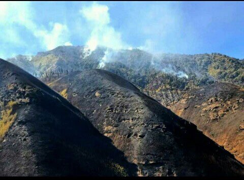 The @IAF_MCC helicopters resumed Bambi Bucket operations today towards dousing the fire in #Dzouku Valley near #Kohima. Four Mi-17 helicopters have been deployed at #Dimapur & #Rangapahar for the task. #IAF
