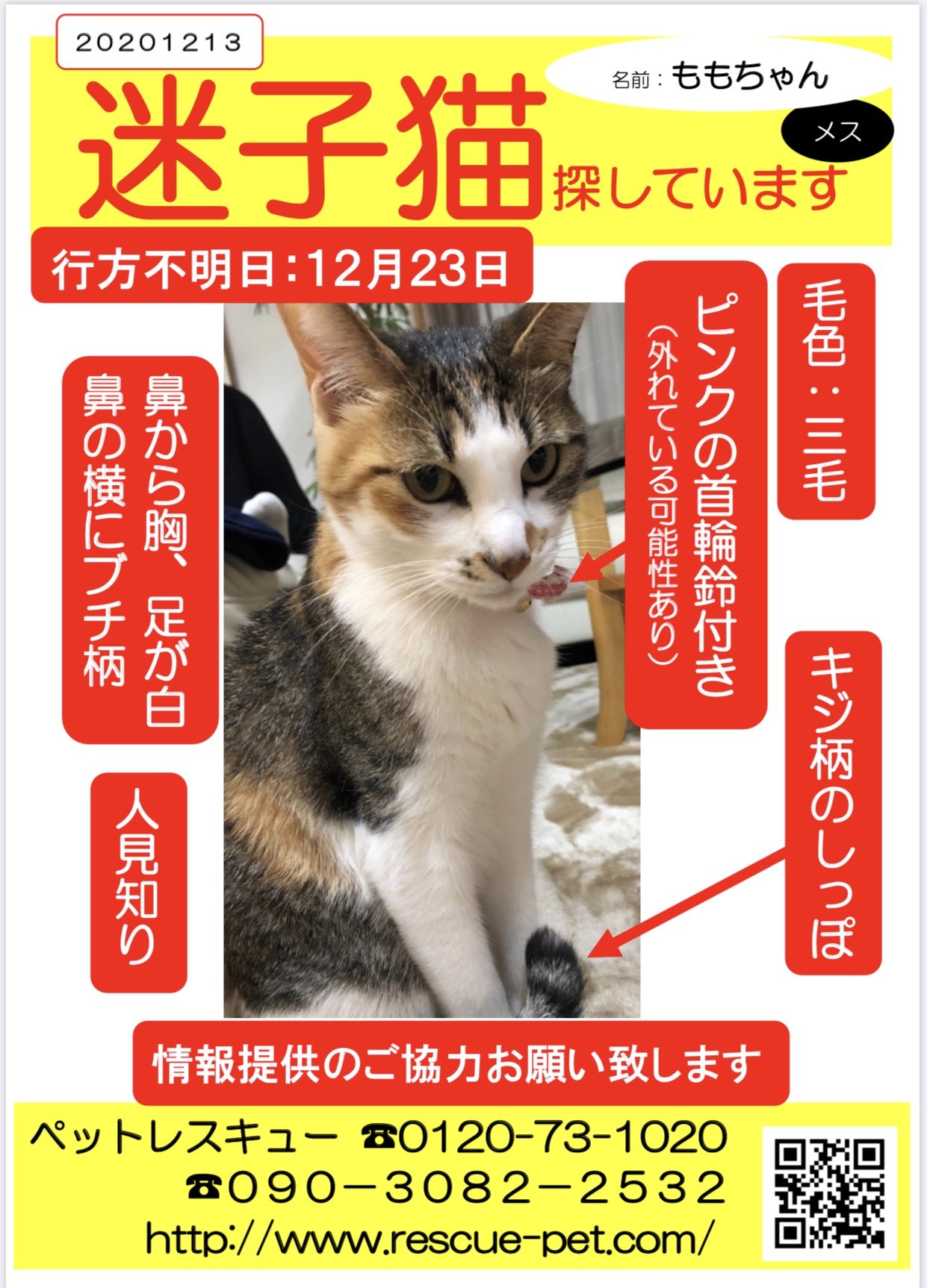 探し猫 Twitter Search Twitter