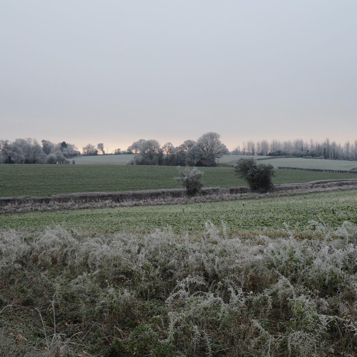 whatsnottohike1's tweet photo. Beautiful 25km circular walk in #hampshire. Taking in #romsey #michelmarsh #timsbury #braishfield #awbridge and lots of #countryside 😀
#frost #hike #outdoors #nature #sheep #farmland #photography #mountainleader #whatsnottohike #staylocal #winter #january https://t.co/cxY1Gf51Dl