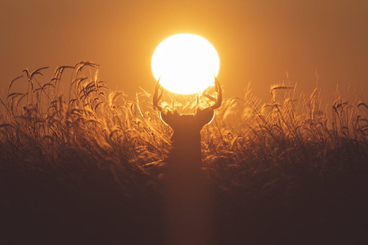 Travis Gallipo tweet media