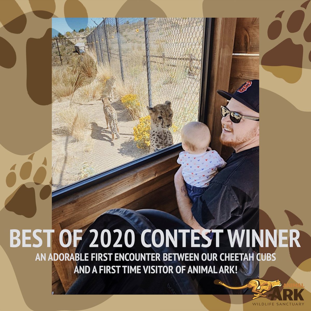 Best of 2020 Contest Winner is... Jessica B! Our staff agreed, this first encounter between our cheetah cubs and baby Layla is an adorable memory from last year.  Come capture your own family memories @ our Wild Winter Weekends, January 16th - 17th + February 13th -14th from 11-3