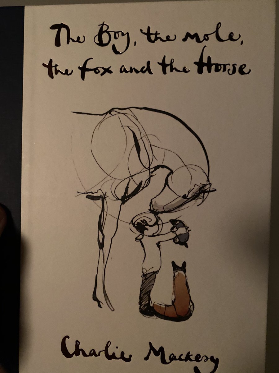 My wife gave me this book for Christmas. Read non stop &amp; couldn’t recommend more if you’re 8 or 80. I’d buy it for every Irish child if I could. Simple messages on what’s important in life &amp; reminds us that it’s not ‘things’ that are key, it’s people, kindness &amp; experiences.