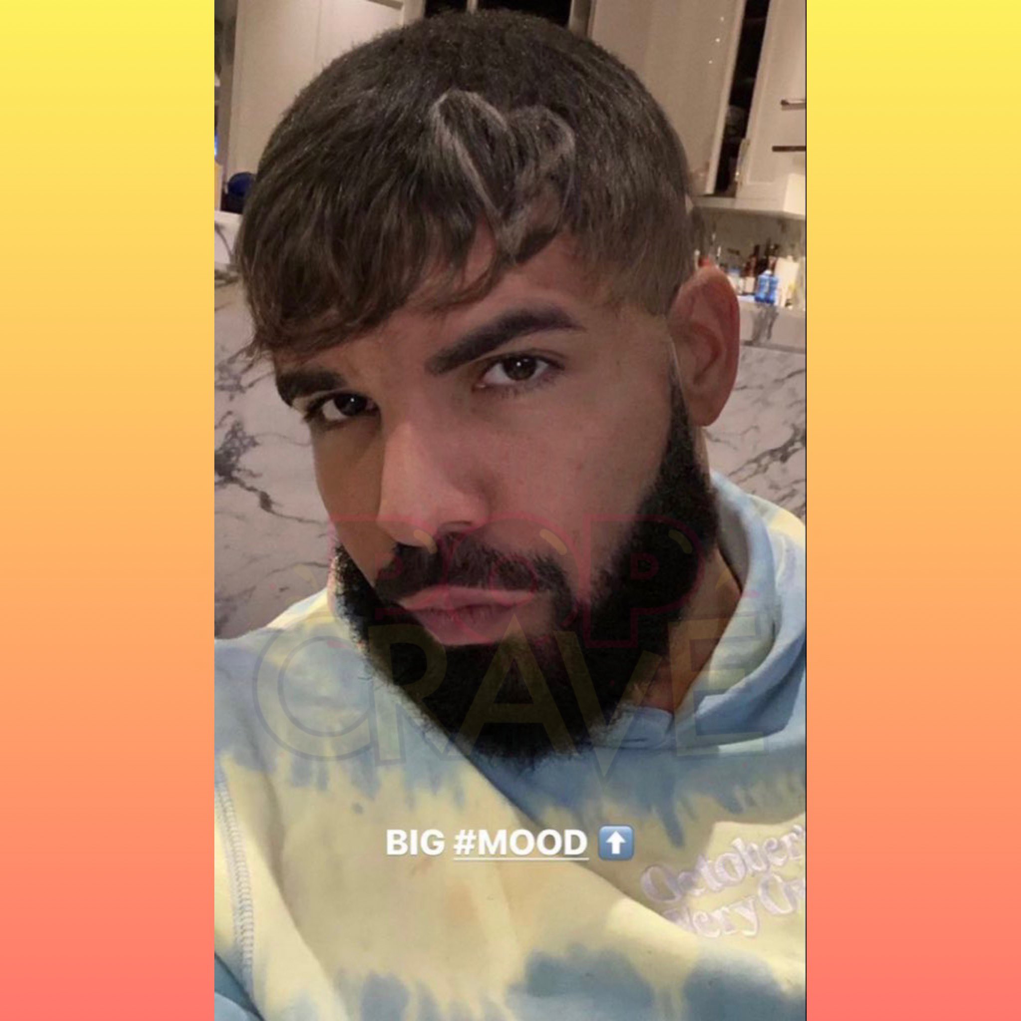 Drakes New Hairstyle #drake #hair #hairstyle #fypシ #foryou #foryourpa... |  TikTok