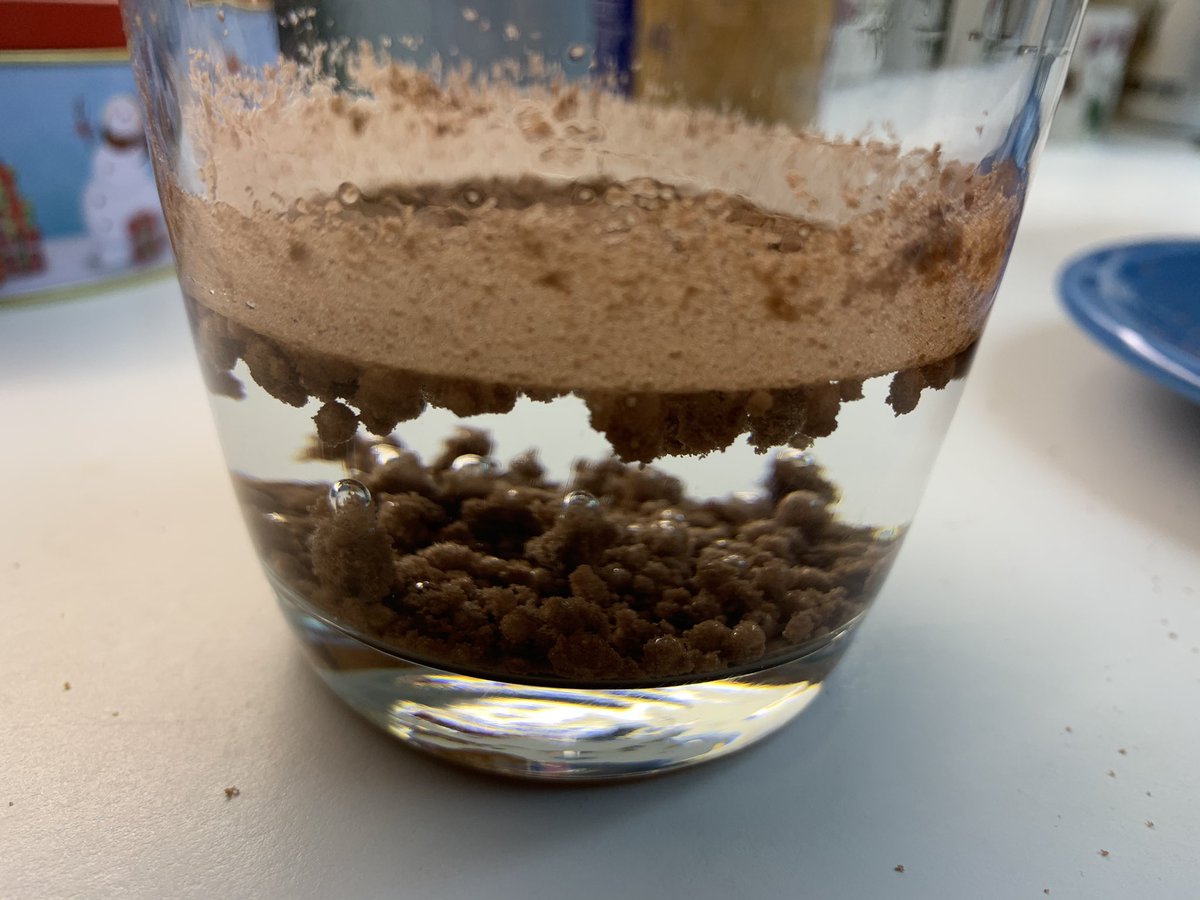 Dry sifting of level 1 reveals no additional finds. No organic remains found in flotation, though there is unforeseen separation and globing of soil. Sample reserved for additional testing.