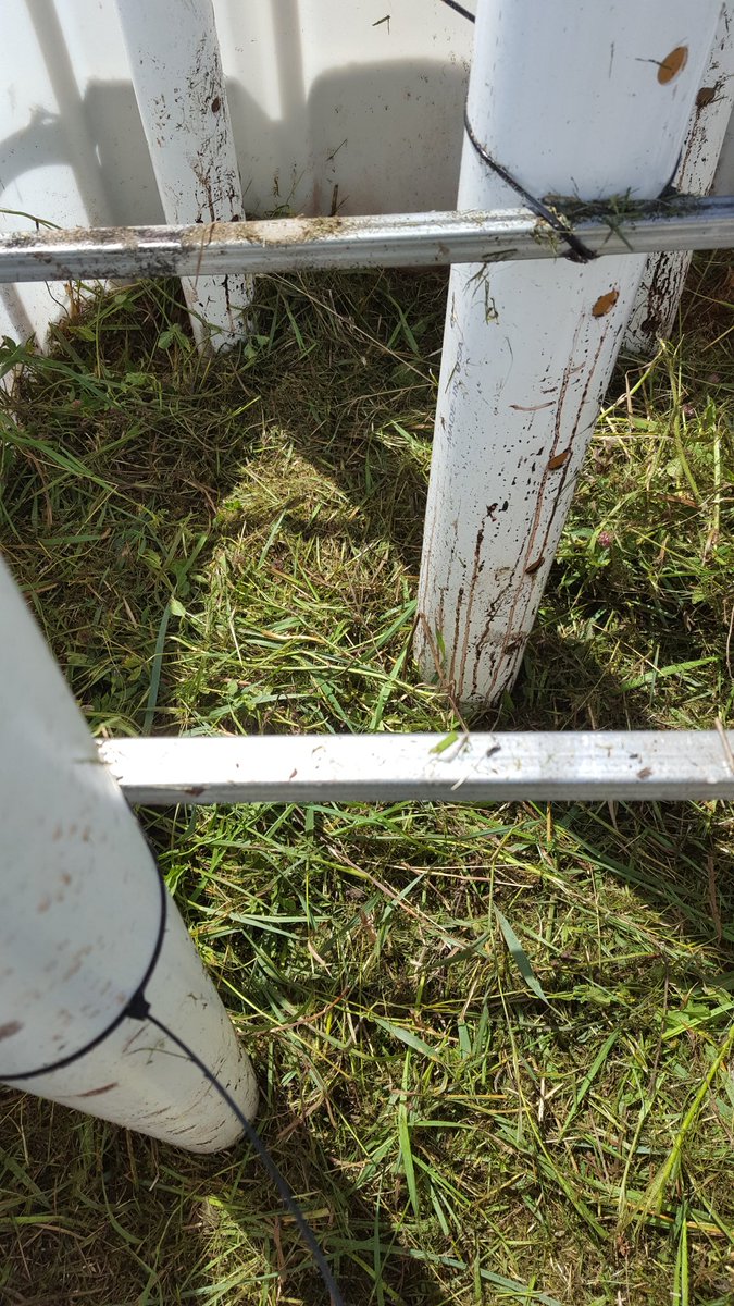 He7ifarmer's tweet photo. @TrinityCreekR @tfarmsllc https://t.co/Z946PHQeOe