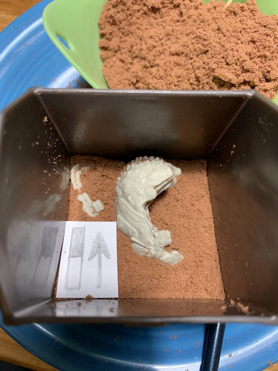 Third pass in level 2. Second section of assumed bone material uncovered in NW quadrant of trench. Unclear if this piece is related to previously uncovered fragment.