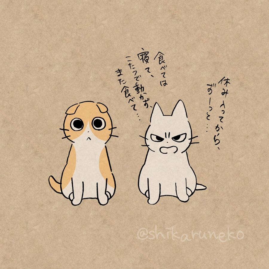 お正月太りまっしぐらな人と、しかるねこと あまやかすねこと ながめるねこ 