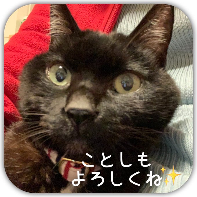 ヒゲ美のtwitterイラスト検索結果