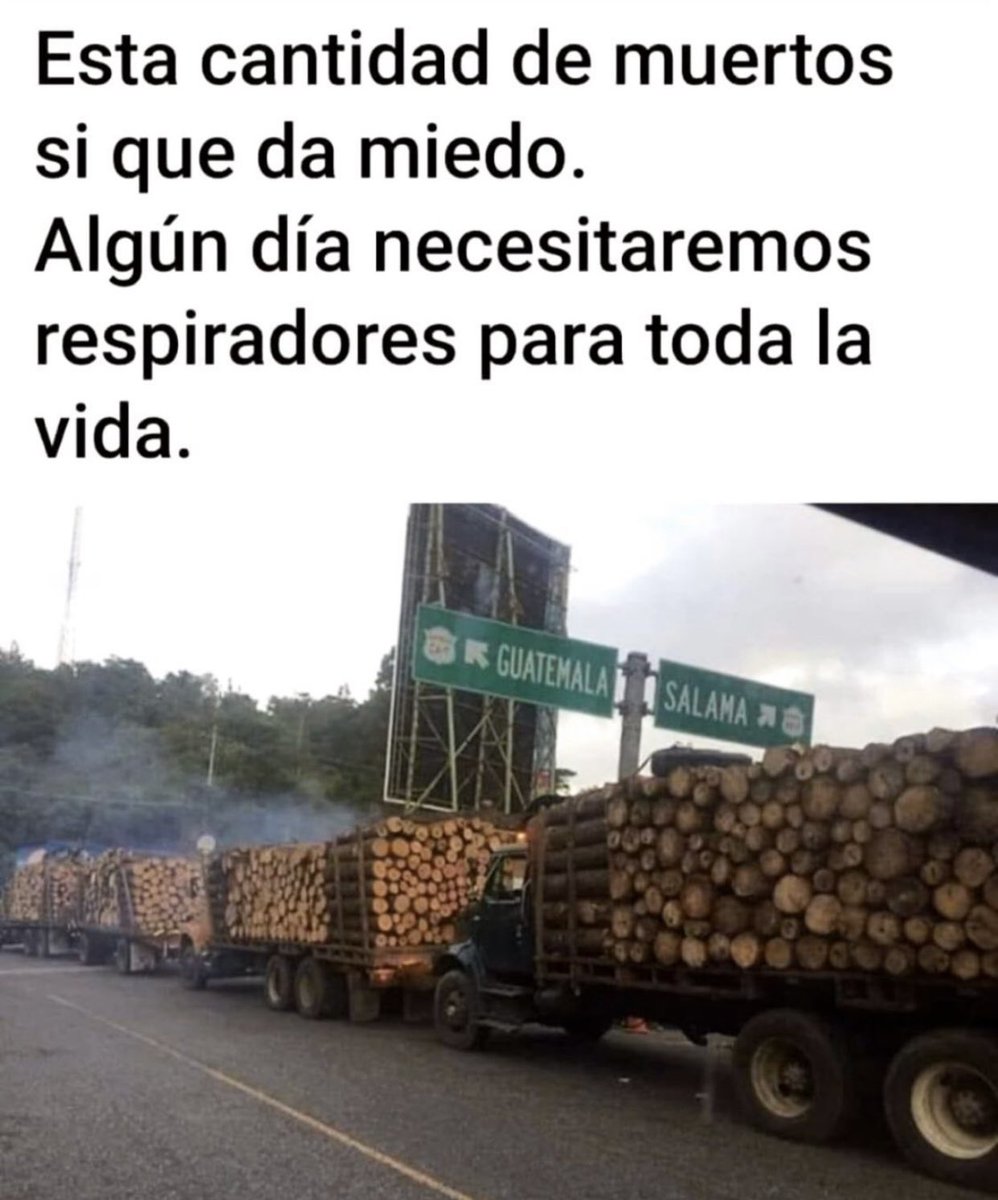 Un par de árboles y eso