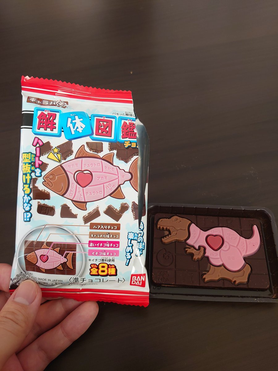 キャラパキ解体図鑑チョコ