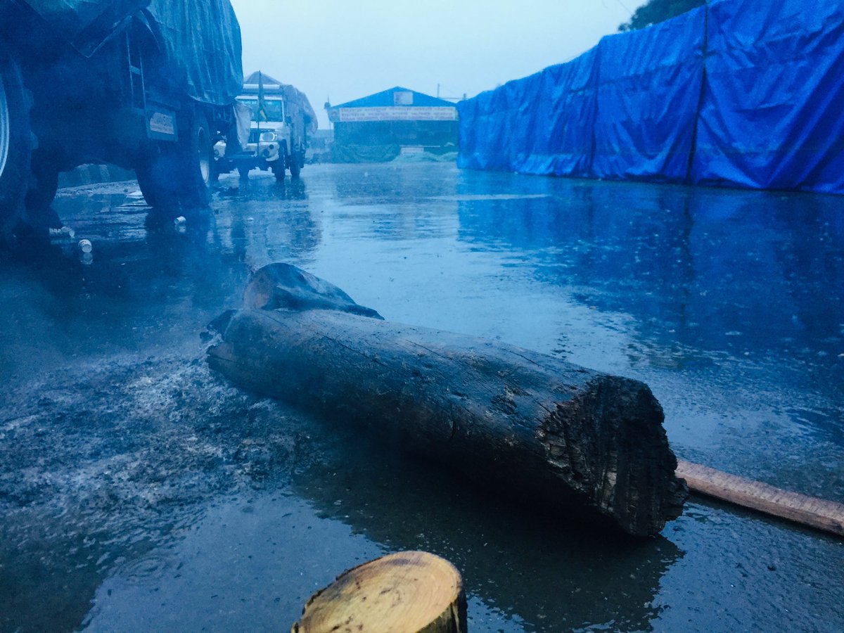 HarjinderKhang2's tweet image. #ProtestUpdates
It’s raining here at Singhu.
Photo credit - @PunYaab 
#Tractor2Twitter