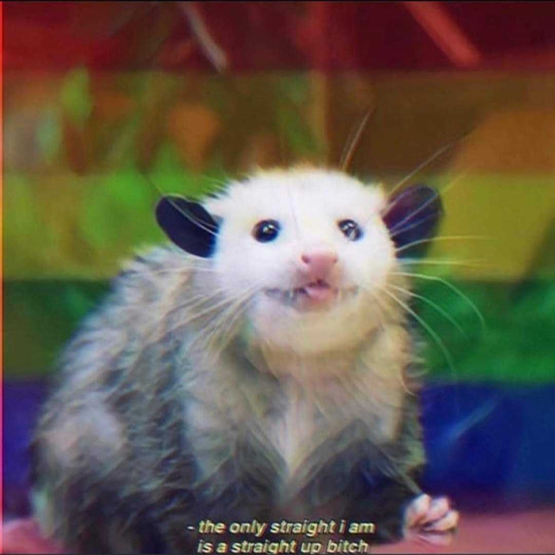 TheOfficialVV's tweet image. Booyah!

#lgbtqmeme #queermeme #gaymeme #lesbianmeme #cutememe #memequeen #memelord #bestmeme #bestmemes #toofunny #relatable #same #opossummeme #relatablememe