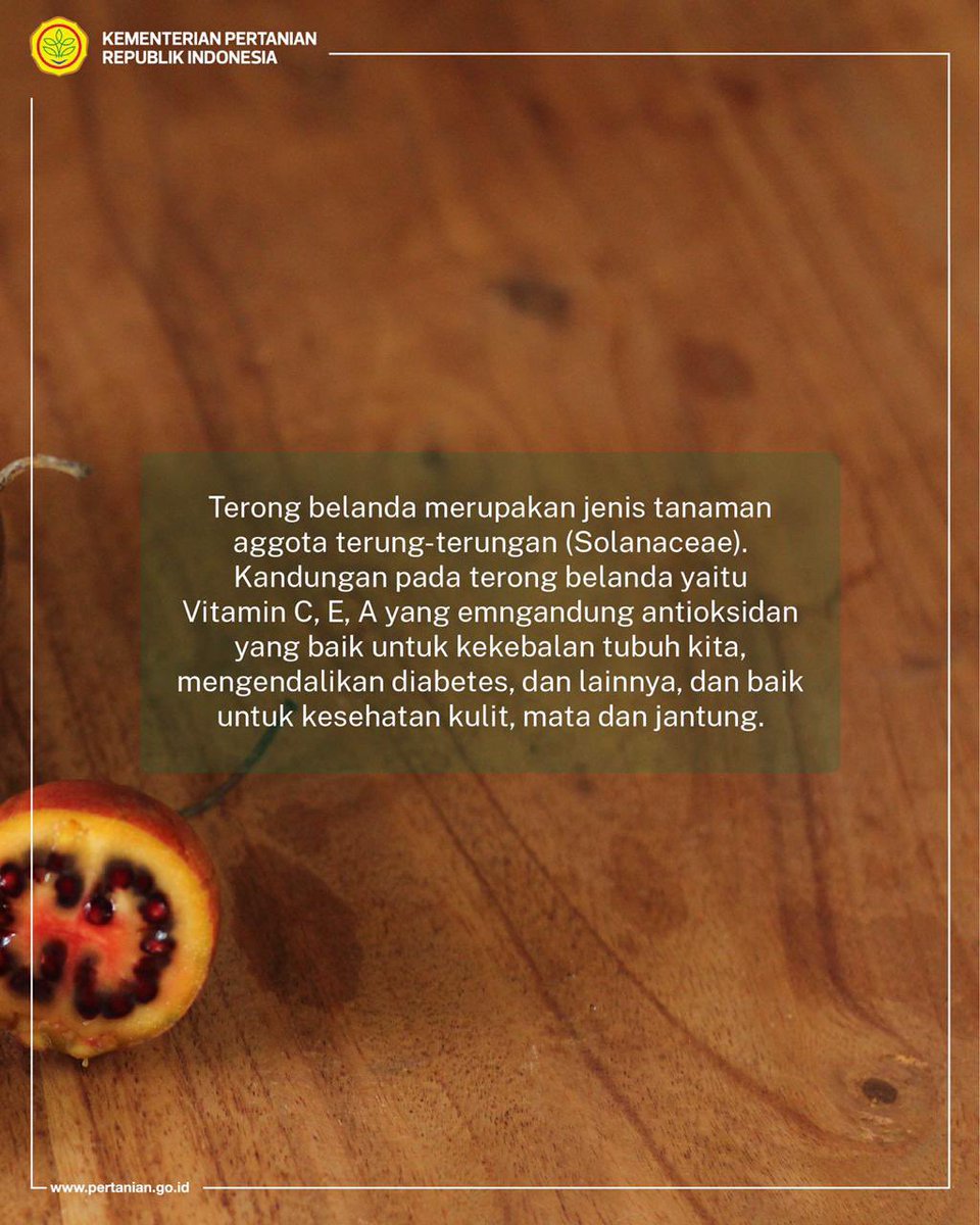 kementan's tweet photo. Hai SobaTani, dengan segala keunggulan dan manfaat dari terong Belanda, tentu peluang dari budidaya tanaman ini juga amat besar. Apalagi, tanaman ini juga mudah tumbuh, lho. 

Siapa tertarik menambah penghasilan dengan budidaya terong Belanda di rumah? https://t.co/yO62dNUyUN