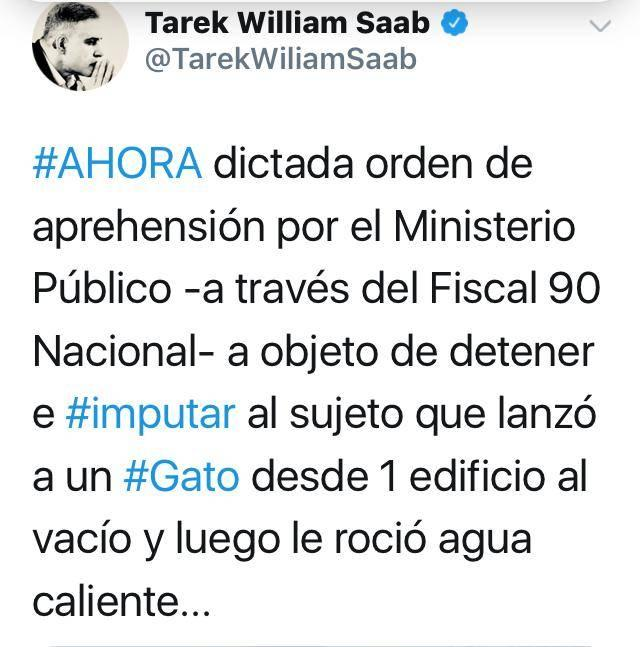 RobertLobo_'s tweet photo. Hoy en la noche fue detenido el maldito que mató a una gatica embarazada lanzándola desde un piso 20 en la Av. San Martin, Caracas. 
No tengo coraje para ver el video de la gatica luchando para no caer. Merece q le hagan lo mismo. https://t.co/FKgFMYS2aZ