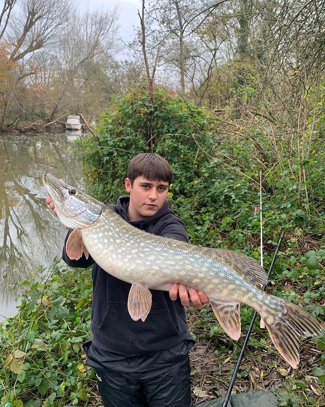 Coffee Lovers on X: 3 pike from a live baiting session yesterday, the last  fishing being the largest by far, all on circle hooks 🪝 #fishing  #fishinguk #urbanfishing #bigpike #winter #JimCrowCaucus   /